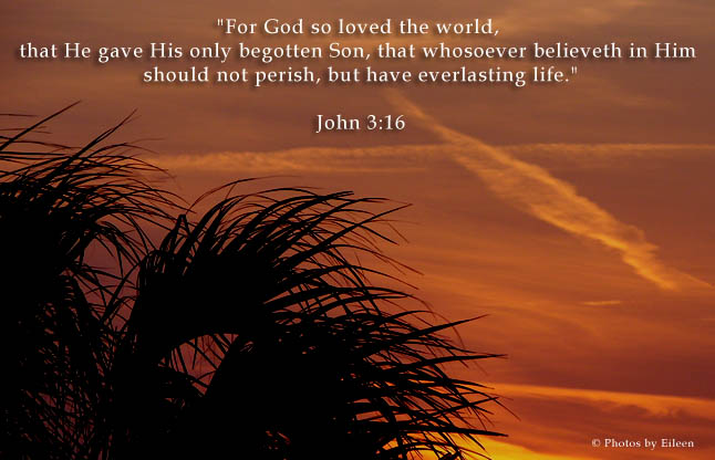 John 3:16