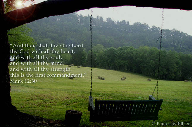 Mark 12:30